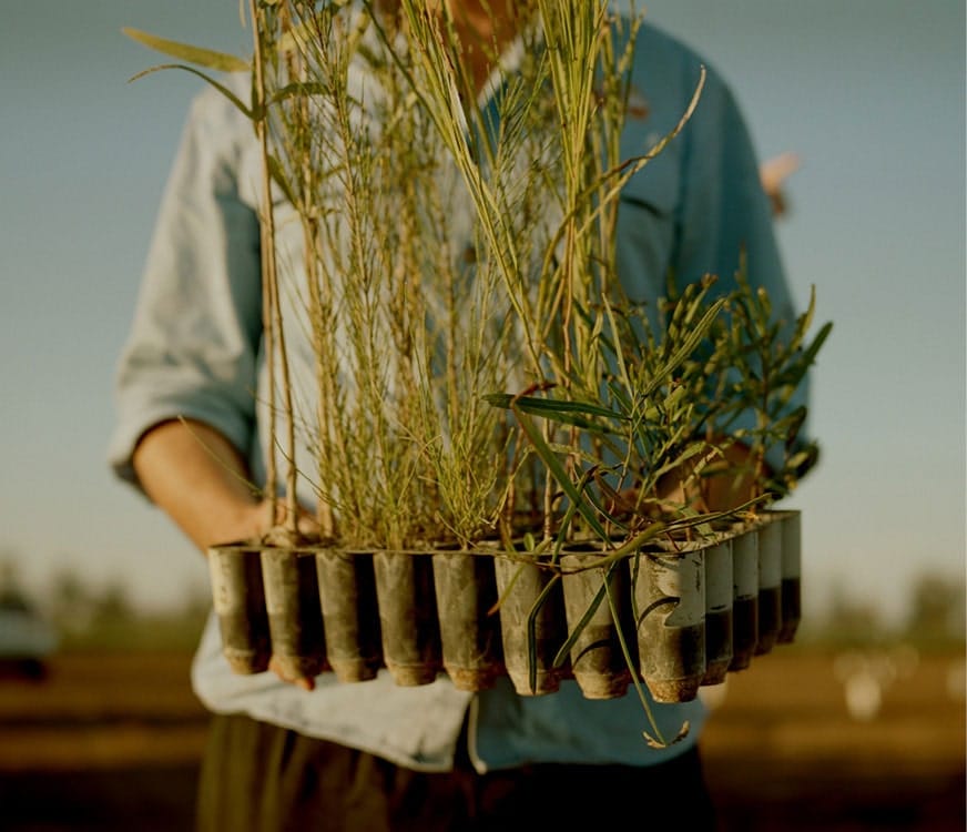 Work for The NSW Irrigators’ Council